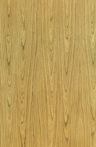 Crown Teak