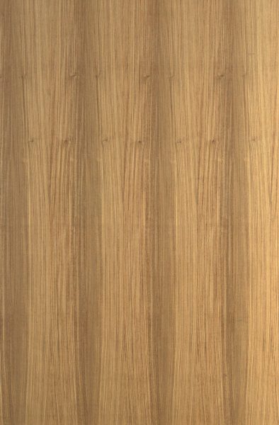 Teak Champ